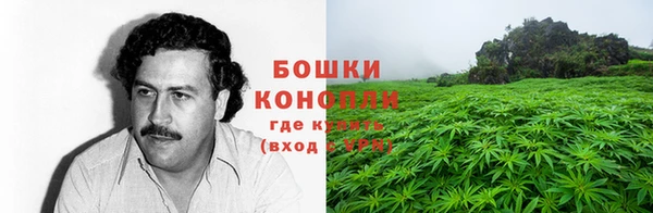 эйфоретик Пересвет