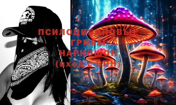 PSILOCYBIN Абаза