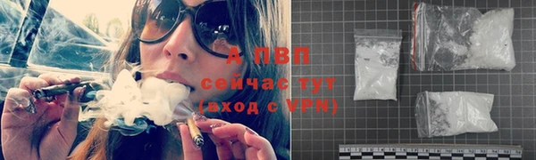 эйфоретик Пересвет