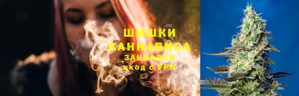 эйфоретик Пересвет