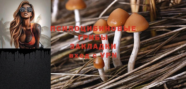 эйфоретик Пересвет