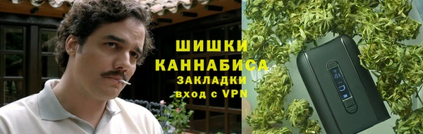 эйфоретик Пересвет