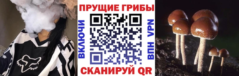 Галлюциногенные грибы Magic Shrooms Советский